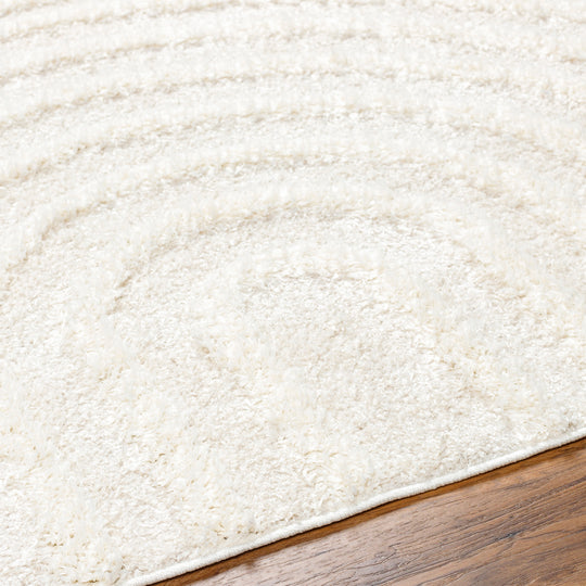 Tapis Shaggy Moderne Beige/Blanc