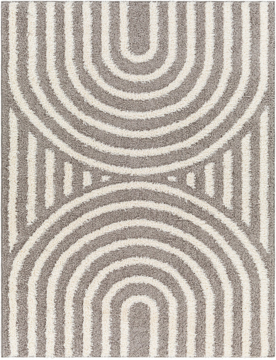 Tapis Shaggy Moderne Gris Foncé/Blanc
