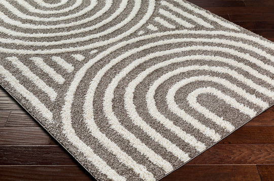 Tapis Shaggy Moderne Gris Foncé/Blanc