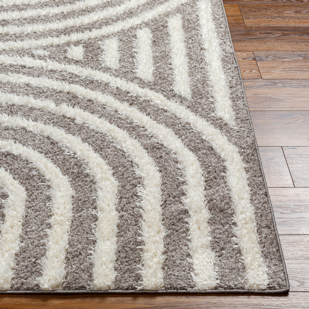Tapis Shaggy Moderne Gris Foncé/Blanc