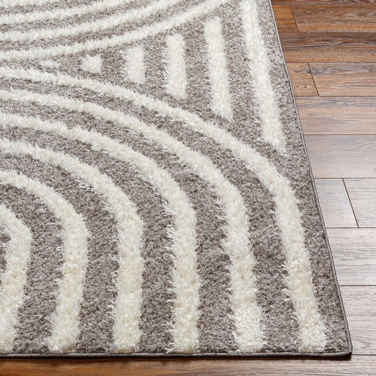 Tapis Shaggy Moderne Gris Foncé/Blanc
