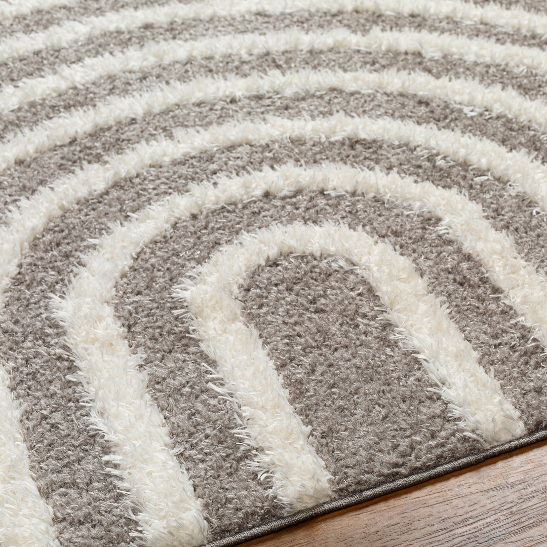 Tapis Shaggy Moderne Gris Foncé/Blanc