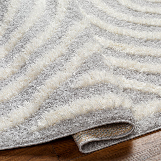 Tapis Shaggy Moderne Gris Clair/Blanc