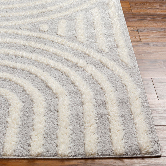 Tapis Shaggy Moderne Gris Clair/Blanc