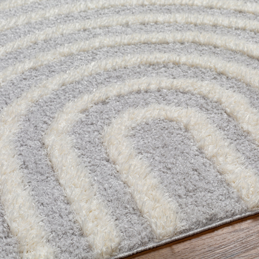 Tapis Shaggy Moderne Gris Clair/Blanc
