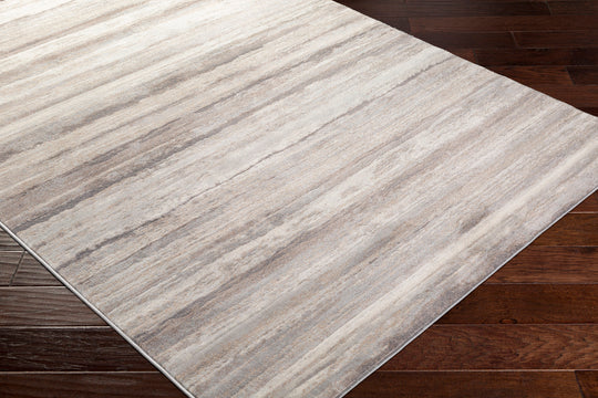 Tapis Scandinave Moderne Gris/Marron Dusel