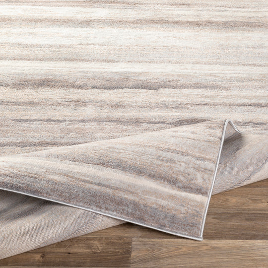 Tapis Scandinave Moderne Gris/Marron Dusel