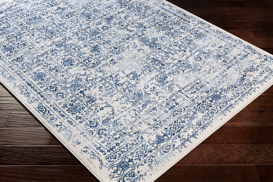 Tapis Vintage Oriental Bleu/Blanc Ottawa