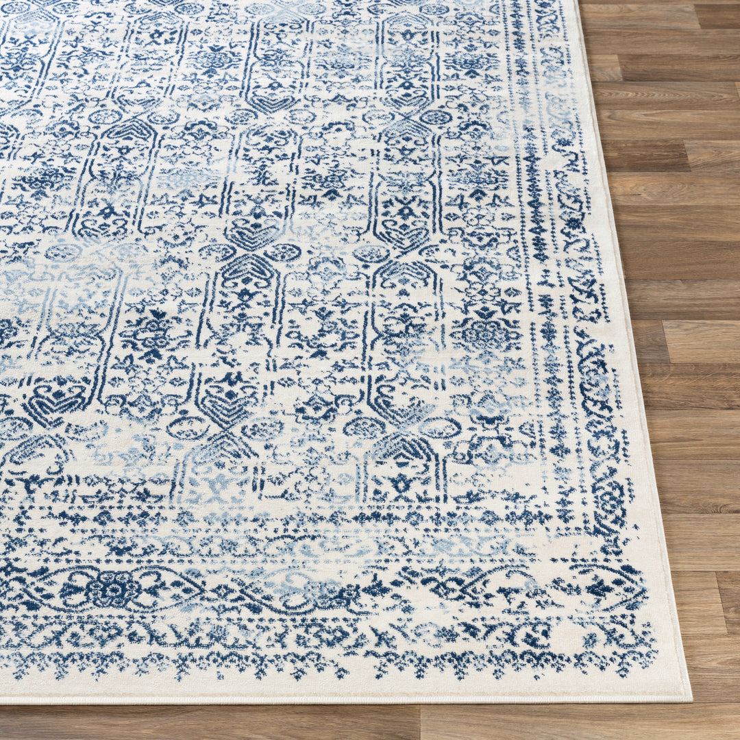 Tapis Vintage Oriental Bleu/Blanc Ottawa