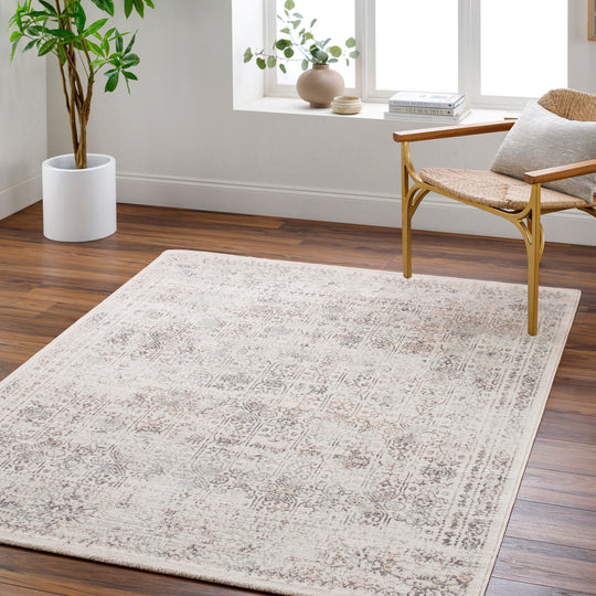 Tapis Vintage Oriental Gris/Brun Ottawa