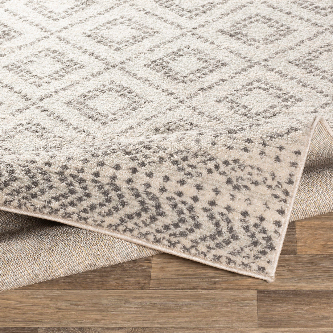 Tapis Scandinave Bohème Gris/Blanc Sewen