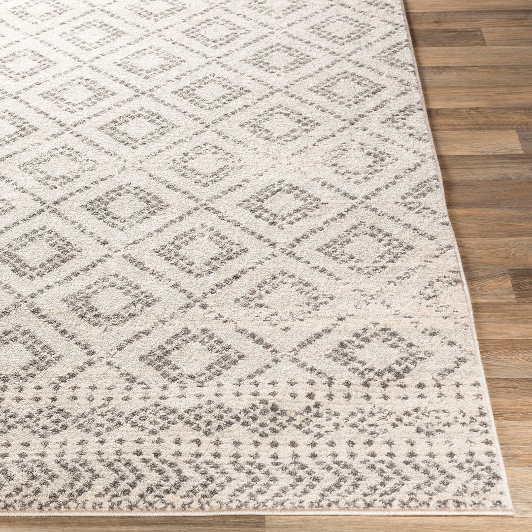 Tapis Scandinave Bohème Gris/Blanc Sewen