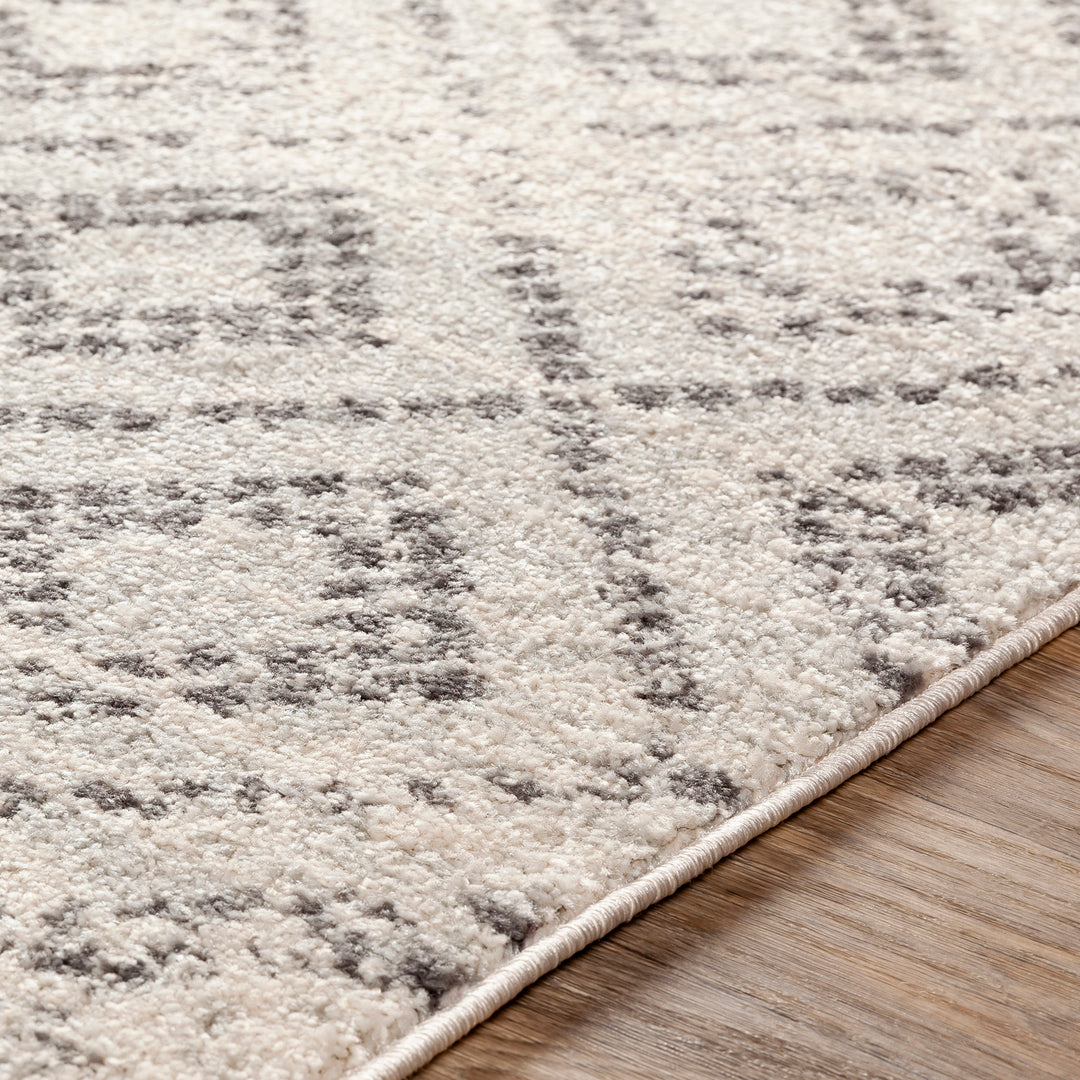 Tapis Scandinave Bohème Gris/Blanc Sewen