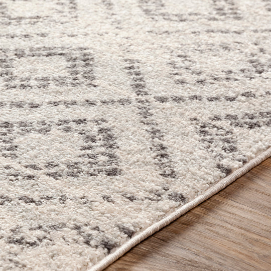 Tapis Scandinave Bohème Gris/Blanc Sewen