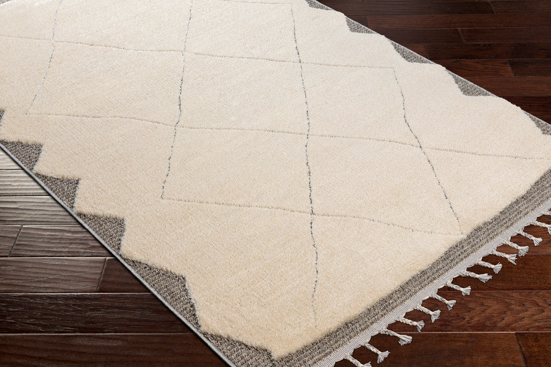 Tapis Berbère Ethnique Beige/Gris Fukushima 167x220cm