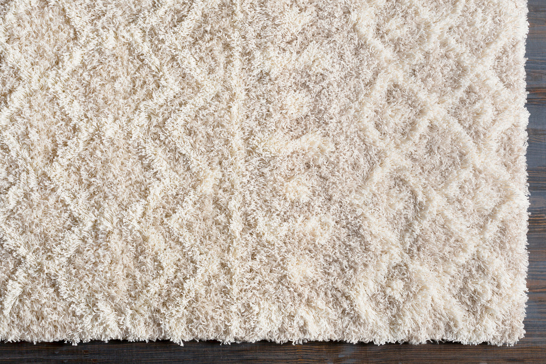 Tapis Shaggy Bohème Ivoire/Beige Dubai