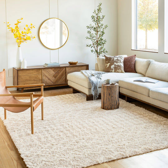 Tapis Rond Shaggy Bohème Ivoire/Beige Rond Dubai