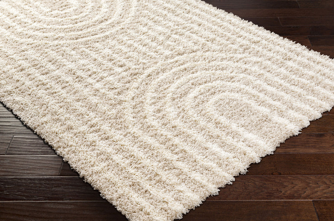 Tapis Shaggy Scandinave Blanc/Beige Sochi
