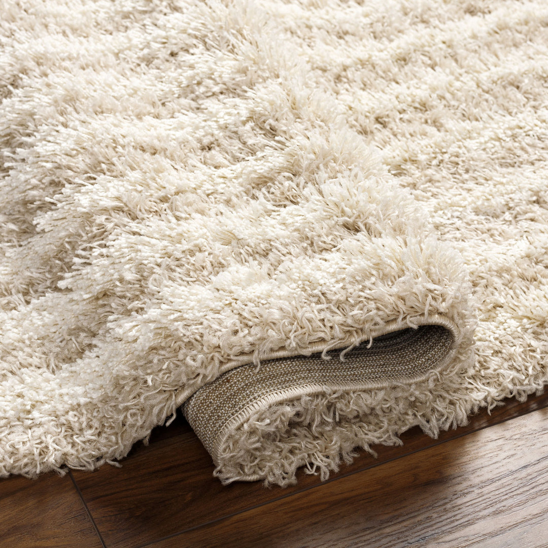 Tapis Shaggy Scandinave Blanc/Beige Sochi