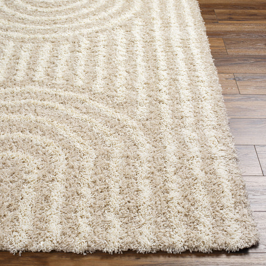 Tapis Shaggy Scandinave Blanc/Beige Sochi