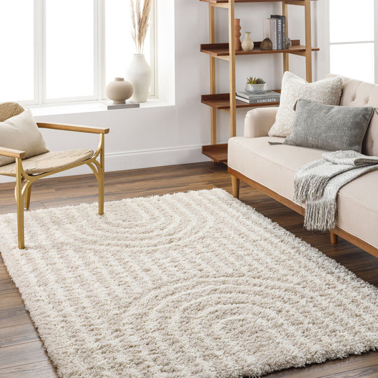 Tapis Shaggy Scandinave Blanc/Beige Sochi