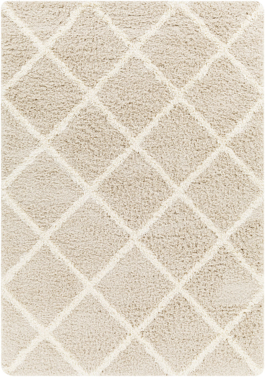 Tapis Shaggy Scandinave Bohème Blanc/Beige Trakai