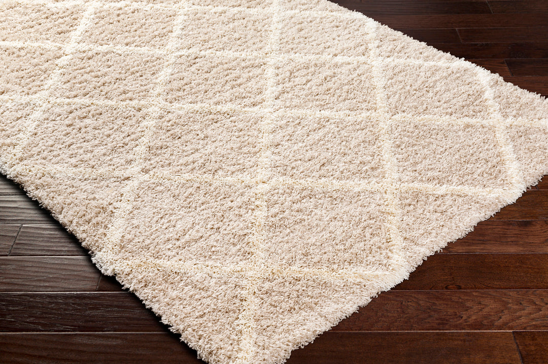 Tapis Shaggy Scandinave Bohème Blanc/Beige Trakai