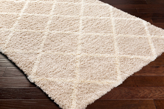 Tapis Shaggy Scandinave Bohème Blanc/Beige Trakai