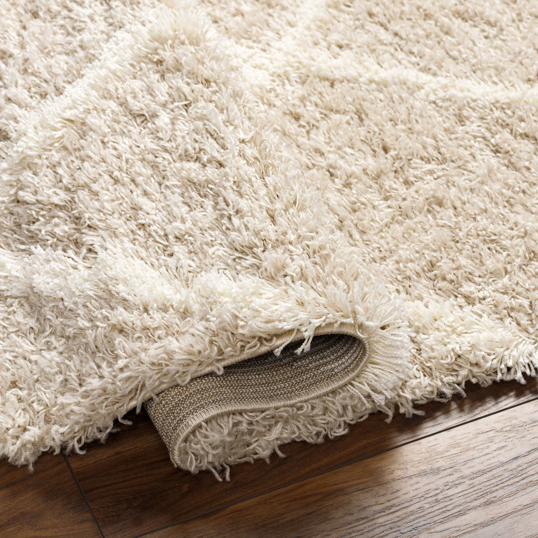 Tapis Shaggy Scandinave Bohème Blanc/Beige Trakai