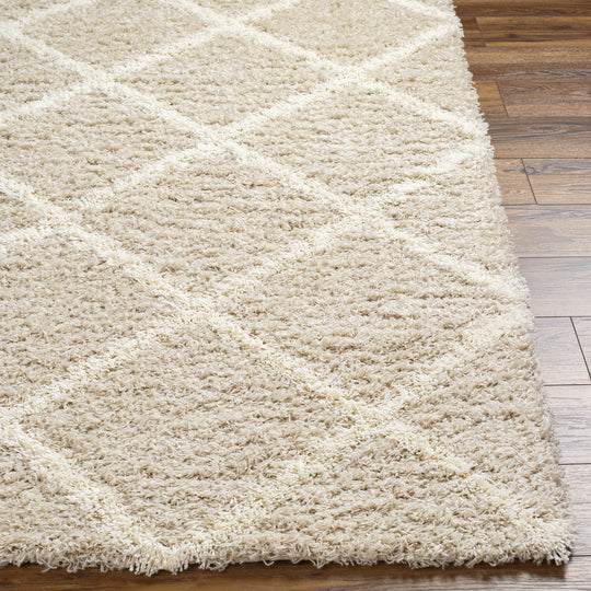 Tapis Shaggy Scandinave Bohème Blanc/Beige Trakai