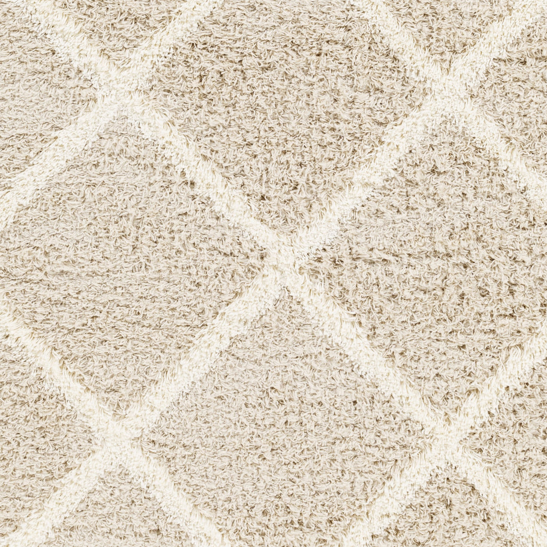 Tapis Shaggy Scandinave Bohème Blanc/Beige Trakai