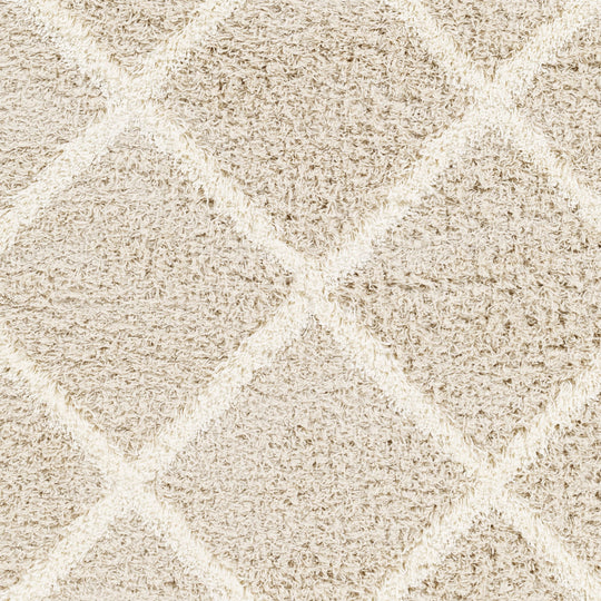Tapis Shaggy Scandinave Bohème Blanc/Beige Trakai