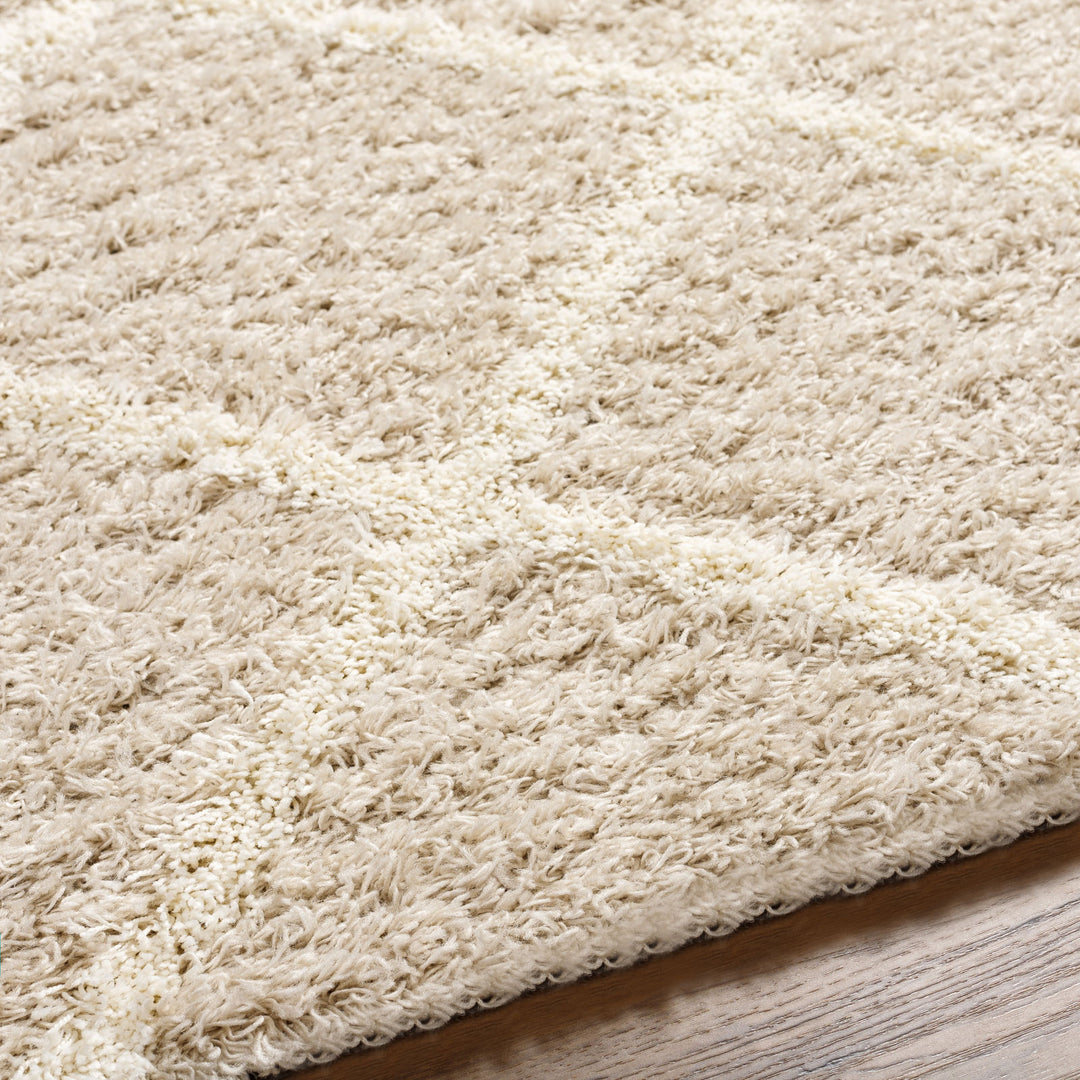 Tapis Shaggy Scandinave Bohème Blanc/Beige Trakai