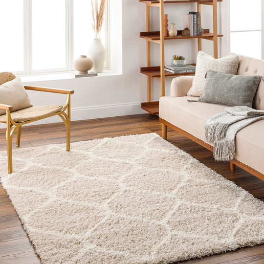 Tapis Shaggy Oriental Blanc/Beige Smolensk
