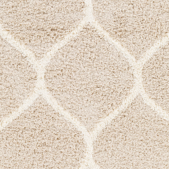 Tapis Shaggy Oriental Blanc/Beige Smolensk