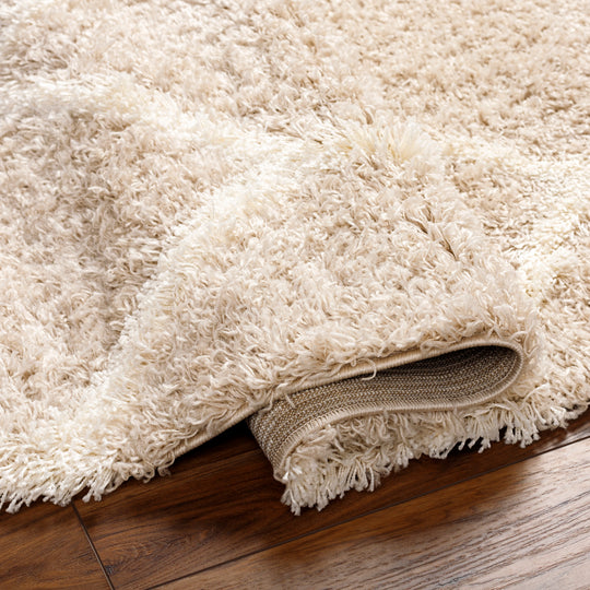 Tapis Shaggy Oriental Blanc/Beige Smolensk