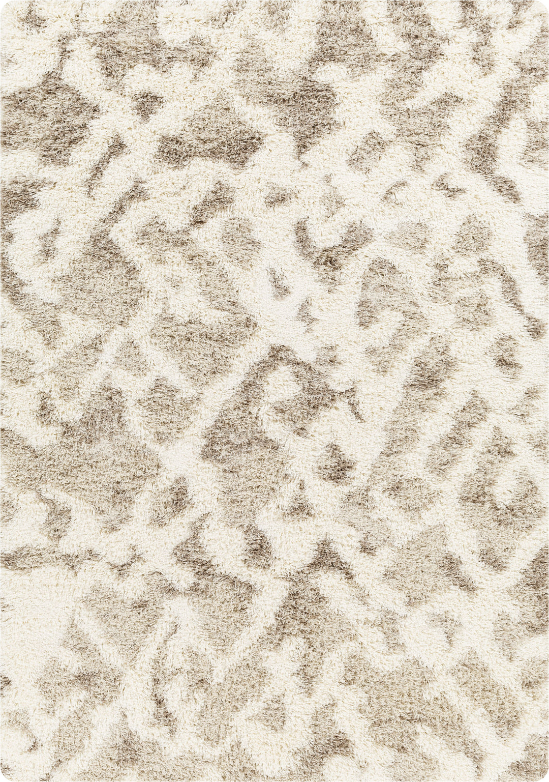 Tapis Shaggy Scandinave Bohème Blanc/Beige Sarajevo