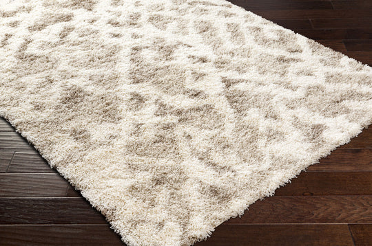 Tapis Shaggy Scandinave Bohème Blanc/Beige Sarajevo