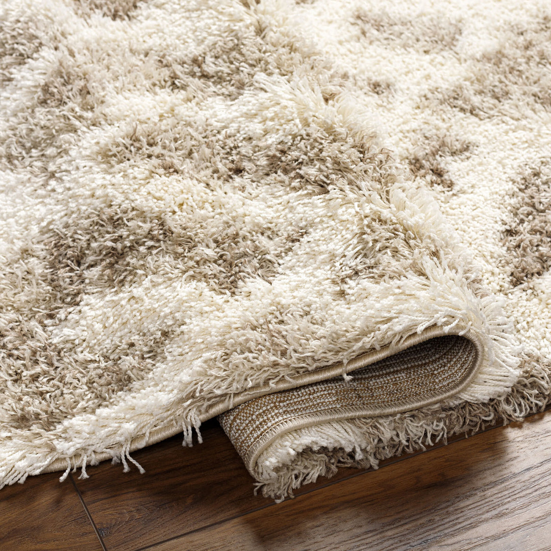 Tapis Shaggy Scandinave Bohème Blanc/Beige Sarajevo