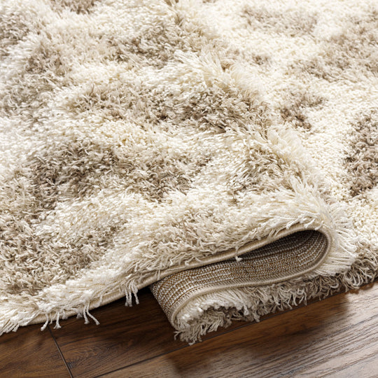 Tapis Shaggy Scandinave Bohème Blanc/Beige Sarajevo
