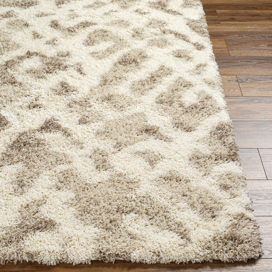 Tapis Shaggy Scandinave Bohème Blanc/Beige Sarajevo