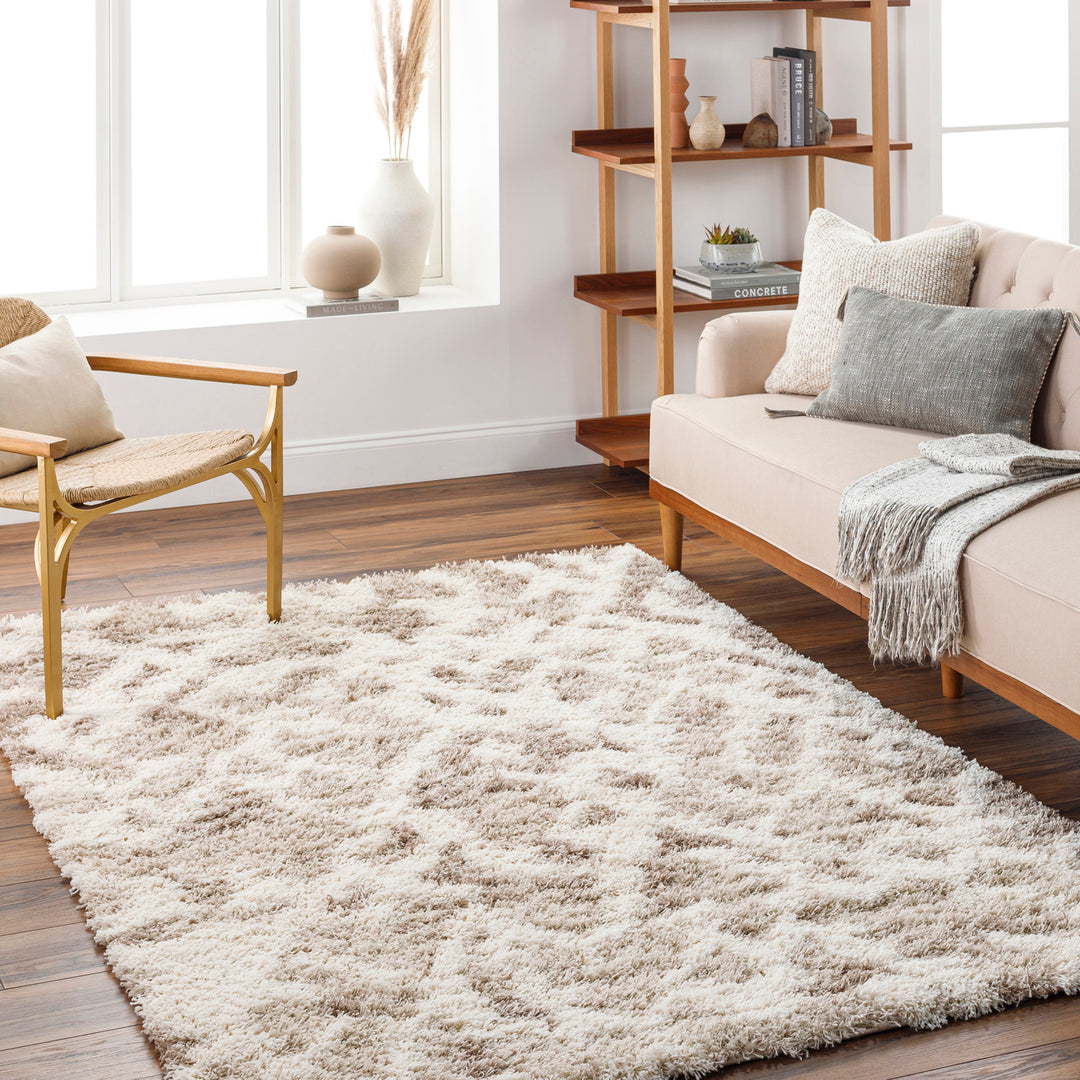Tapis Shaggy Scandinave Bohème Blanc/Beige Sarajevo