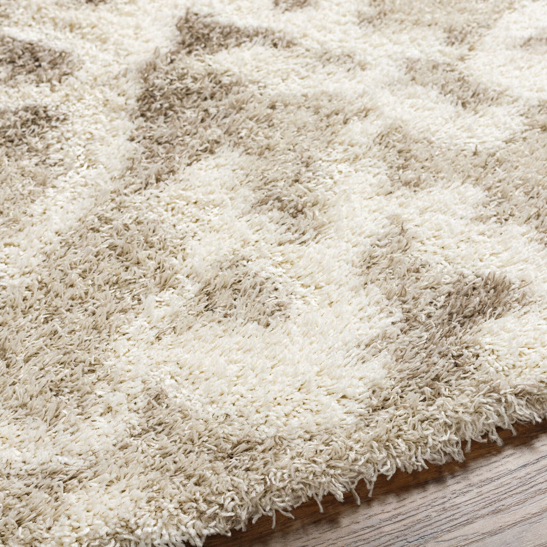 Tapis Shaggy Scandinave Bohème Blanc/Beige Sarajevo