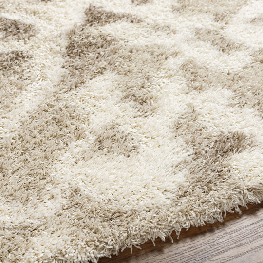 Tapis Shaggy Scandinave Bohème Blanc/Beige Sarajevo