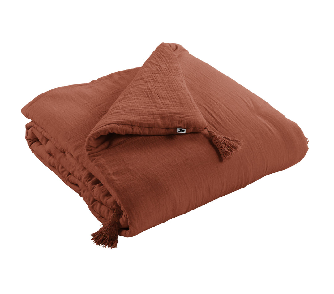 #couleur_terracotta